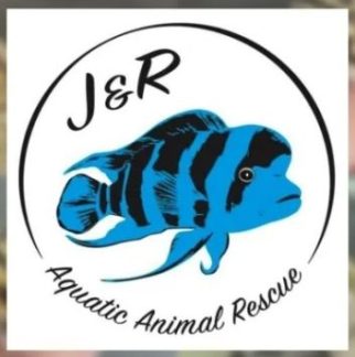 J&R Aquatic Animals