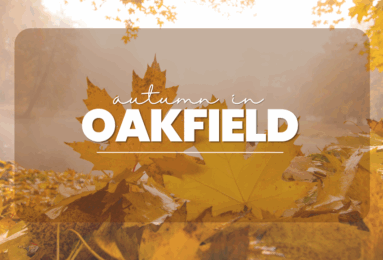 Autumn in Oakfield Photo Contest
