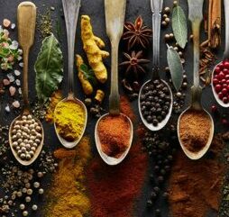 Spice Club