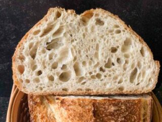 Sourdough Basics